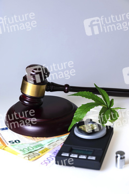 Symbolfoto Cannabis-Legalisierung