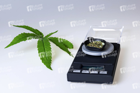 Symbolfoto Cannabis-Legalisierung