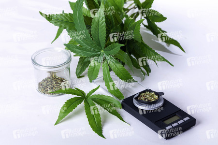 Symbolfoto Cannabis-Legalisierung