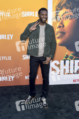 Filmpremiere 'Shirley' in Los Angeles