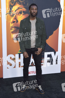 Filmpremiere 'Shirley' in Los Angeles