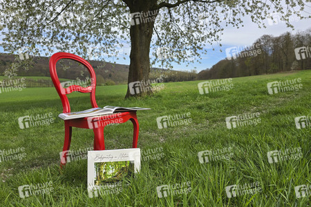 Fotobildband 'Bodypainting in Nature' in Hameln