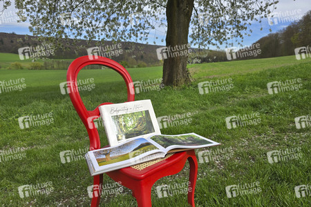 Fotobildband 'Bodypainting in Nature' in Hameln