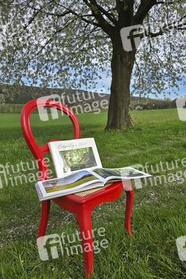 Fotobildband 'Bodypainting in Nature' in Hameln