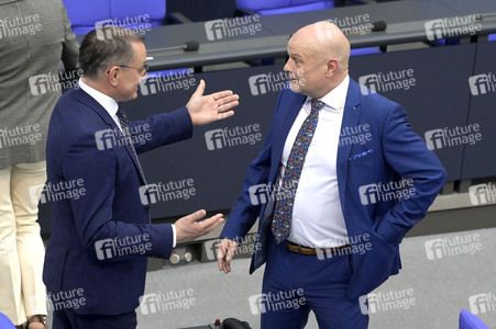 163. Sitzung des Deutschen Bundestages in Berlin