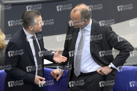 163. Sitzung des Deutschen Bundestages in Berlin