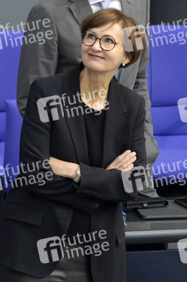 163. Sitzung des Deutschen Bundestages in Berlin