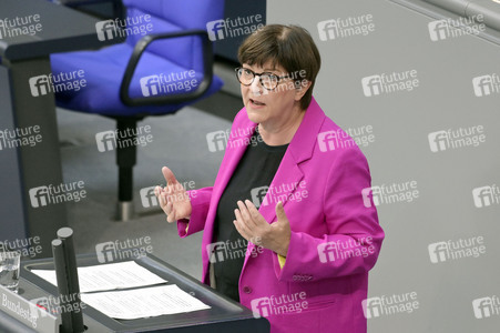 163. Sitzung des Deutschen Bundestages in Berlin