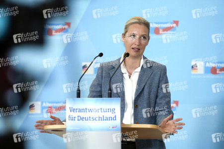 Fraktionssitzung der AfD-Bundestagsfraktion in Berlin