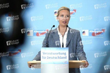 Fraktionssitzung der AfD-Bundestagsfraktion in Berlin