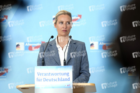 Fraktionssitzung der AfD-Bundestagsfraktion in Berlin