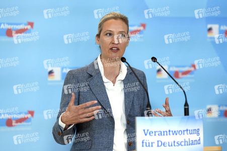 Fraktionssitzung der AfD-Bundestagsfraktion in Berlin