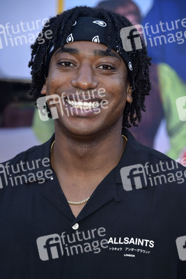 Filmpremiere 'Unfrosted' in Los Angeles