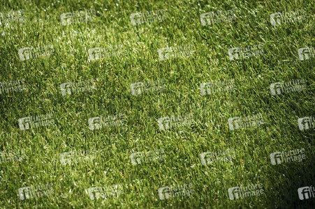 Aufbau der Fan-Zone zur Fußball-Europameisterschaft UEFA EURO 2024 in Berlin