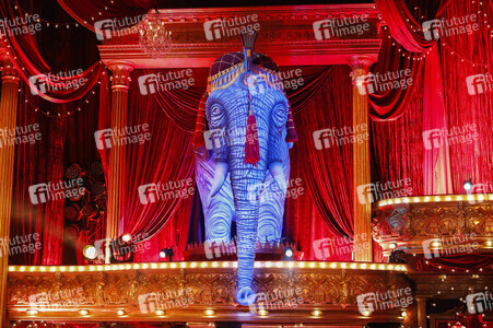 Tanzshow 'Let's Dance' in Köln