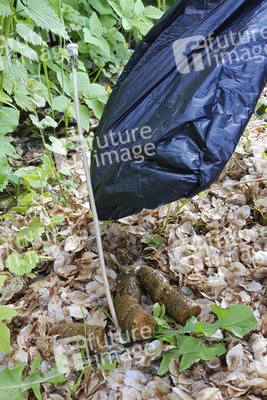 Symbolfoto Hundekotentsorgung