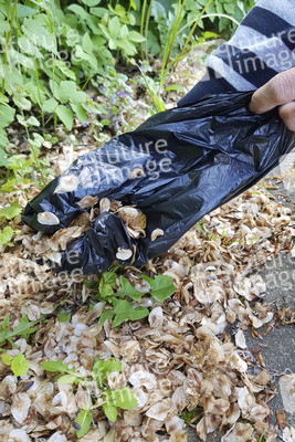 Symbolfoto Hundekotentsorgung