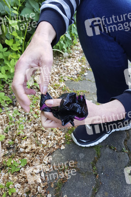 Symbolfoto Hundekotentsorgung