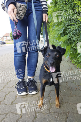 Symbolfoto Hundekotentsorgung