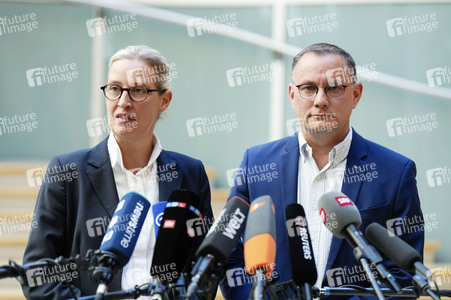 Pressestatement der AfD-Bundestagsfraktion in Berlin