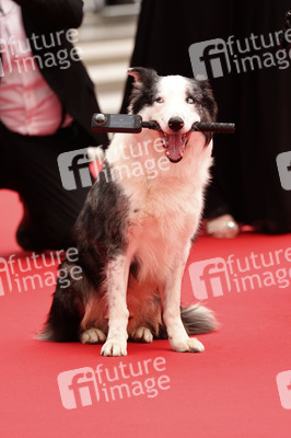 Festivaleröffnung mit Filmpremiere 'Le deuxième acte', Cannes Film Festival 2024