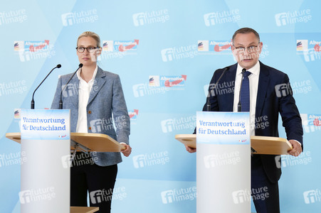 Fraktionssitzung der AfD-Bundestagsfraktion in Berlin
