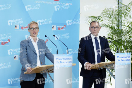 Fraktionssitzung der AfD-Bundestagsfraktion in Berlin