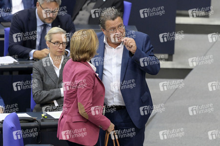 169. Sitzung des Deutschen Bundestages in Berlin