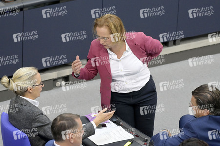 169. Sitzung des Deutschen Bundestages in Berlin