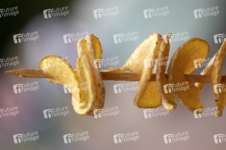 Symbolfoto Kartoffeln