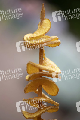Symbolfoto Kartoffeln