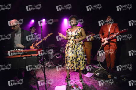 Konzert von Principles of Joy in Hannover