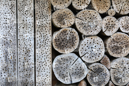 Symbolfoto Insektenhotel