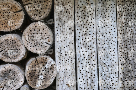 Symbolfoto Insektenhotel