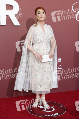 amfAR's Cinema Against Aids Gala, Cannes Film Festival 2024