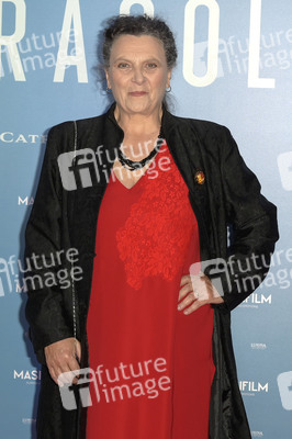 Filmpremiere 'Girasoli' in Rom