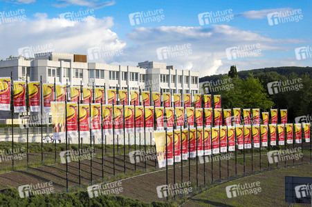 Platz des Grundgesetzes in Bonn