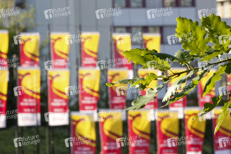 Platz des Grundgesetzes in Bonn