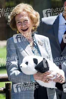 Pandabär-Präsentation in Madrid