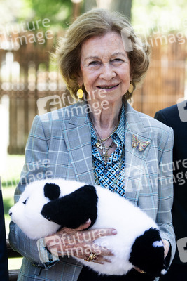 Pandabär-Präsentation in Madrid