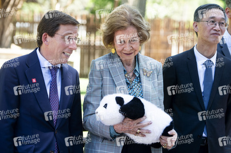 Pandabär-Präsentation in Madrid