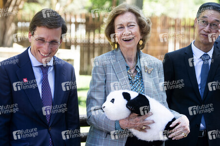 Pandabär-Präsentation in Madrid