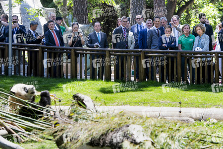 Pandabär-Präsentation in Madrid