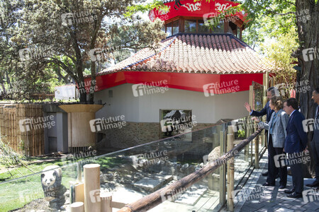 Pandabär-Präsentation in Madrid