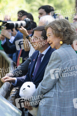 Pandabär-Präsentation in Madrid