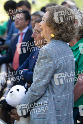 Pandabär-Präsentation in Madrid