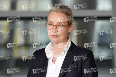 Fraktionssitzung der AfD-Bundestagsfraktion in Berlin