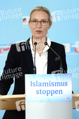 Fraktionssitzung der AfD-Bundestagsfraktion in Berlin