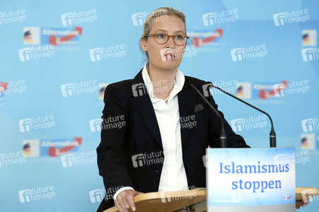 Fraktionssitzung der AfD-Bundestagsfraktion in Berlin