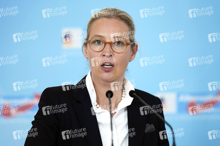 Fraktionssitzung der AfD-Bundestagsfraktion in Berlin